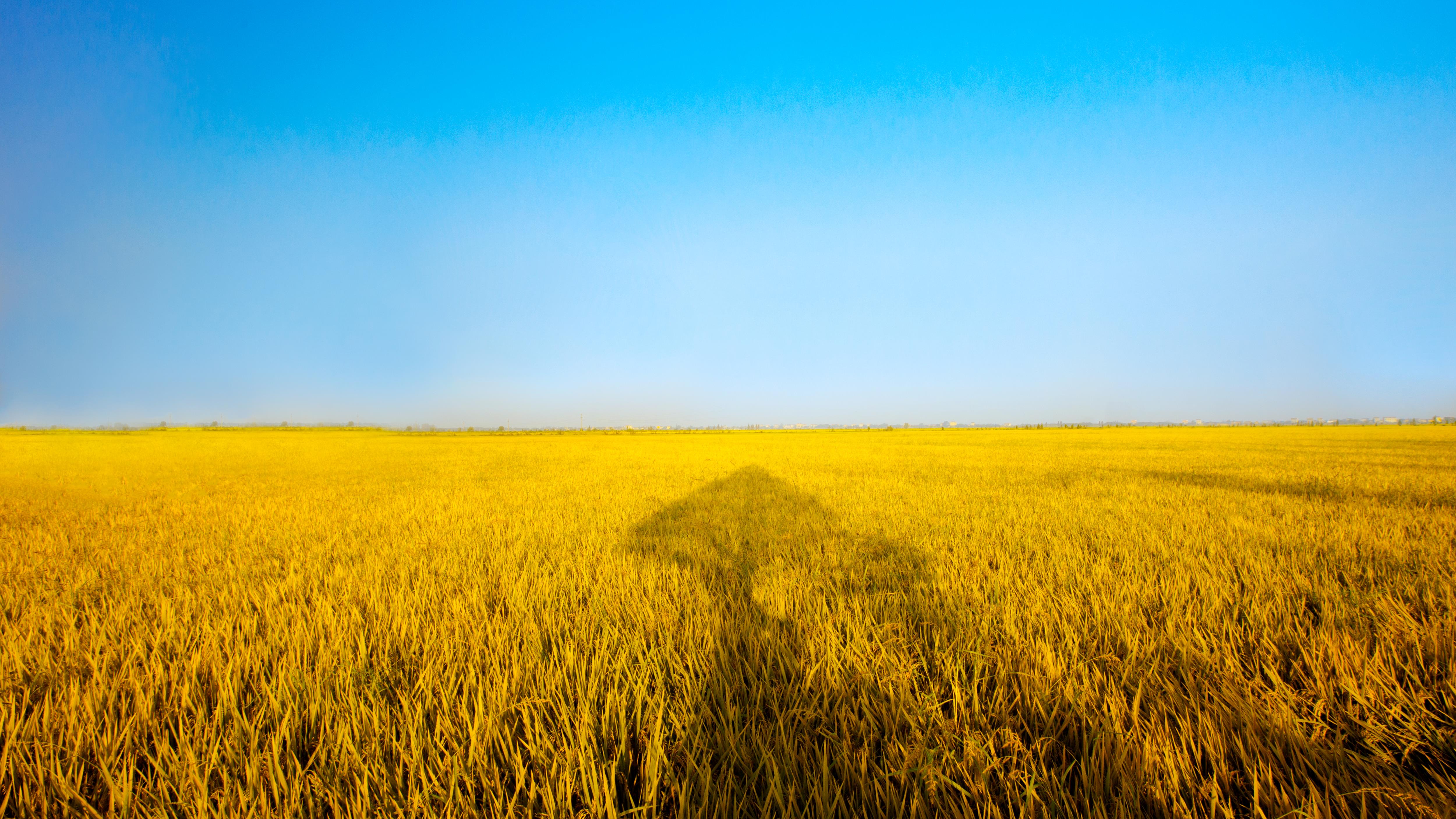 1715071208180505VPH7.jpg 1715071208180505VPH7.jpg