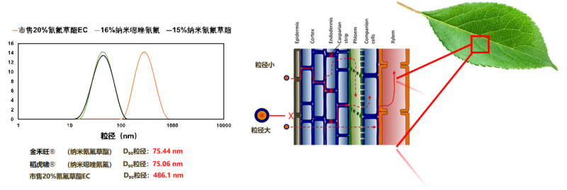 1749015777312460ocF4.png 圖片1.png