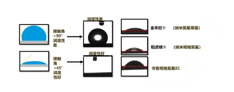 1749015869767928GGrC.jpg 640 (3).jpg