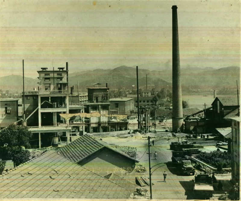 1764553141819168xgkO.png 圖片7.png