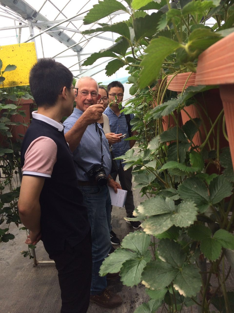 1498811941196724XaqX.jpg 法國農藝專家.jpg